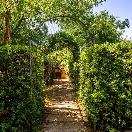 Birba 2 - Poggio Alle Birbe